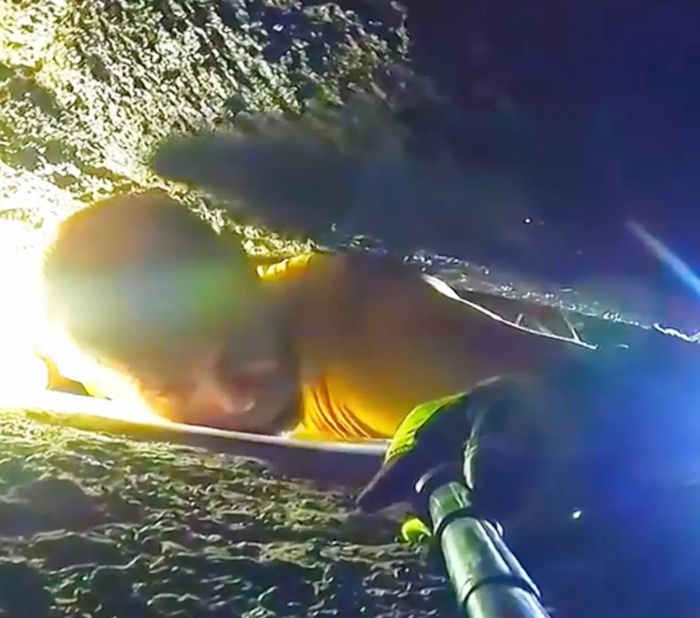 This just doesn't look fun, but each to their own.