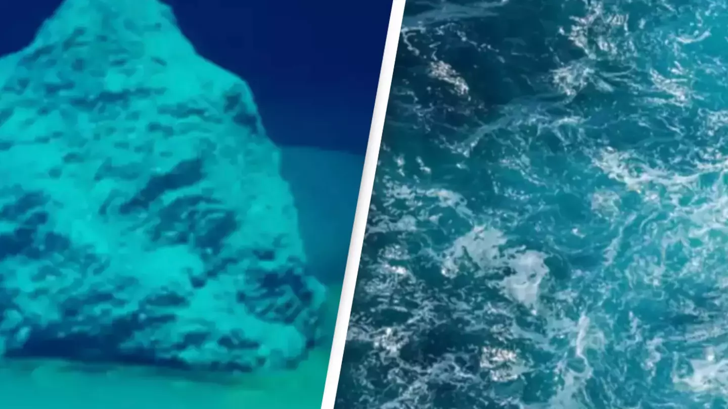 Scientists make chilling discovery after finally reaching the bottom of the Red Sea