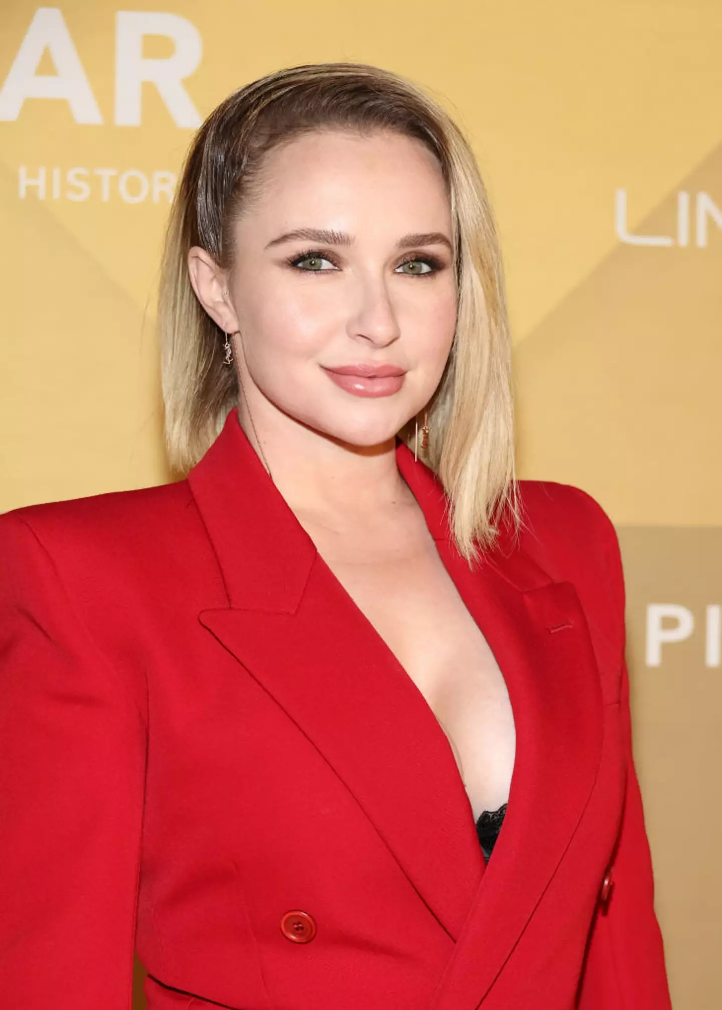 People online were concerned for Hayden Panettiere's wellbeing (Amy Sussman/Getty Images for amfAR)