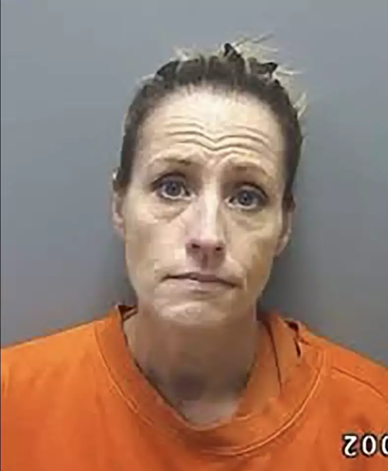Courtney Shaw has been placed on leave after her arrest (Cherokee Sheriff's Office)