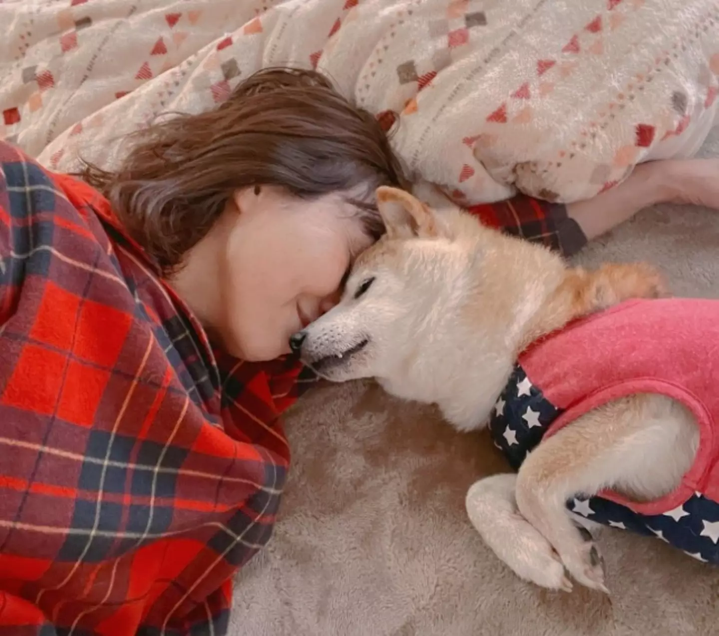 Kabosu the Shiba Inu is suffering from leukaemia and liver disease.