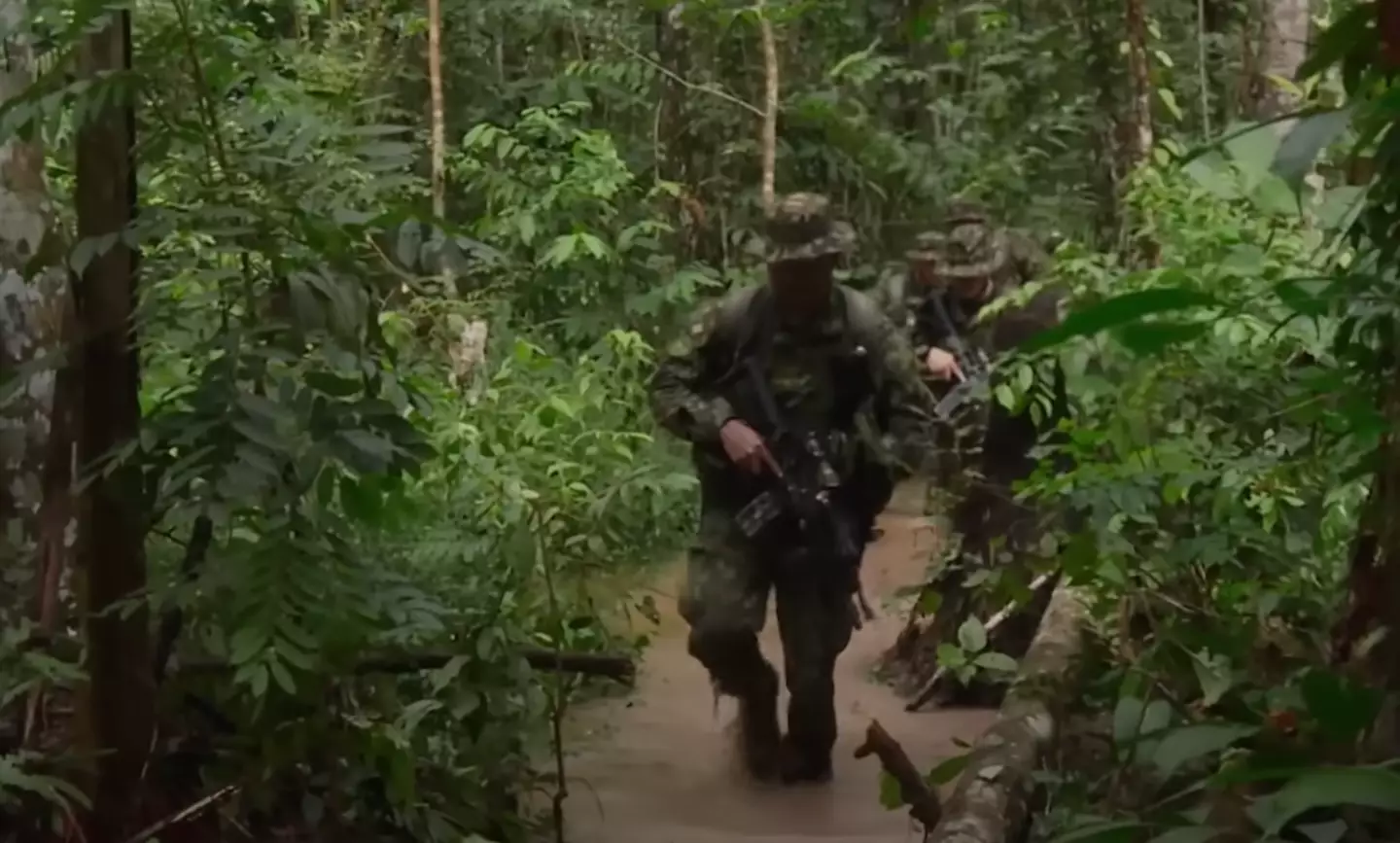 Dozens of people were involved in the search (Netflix)