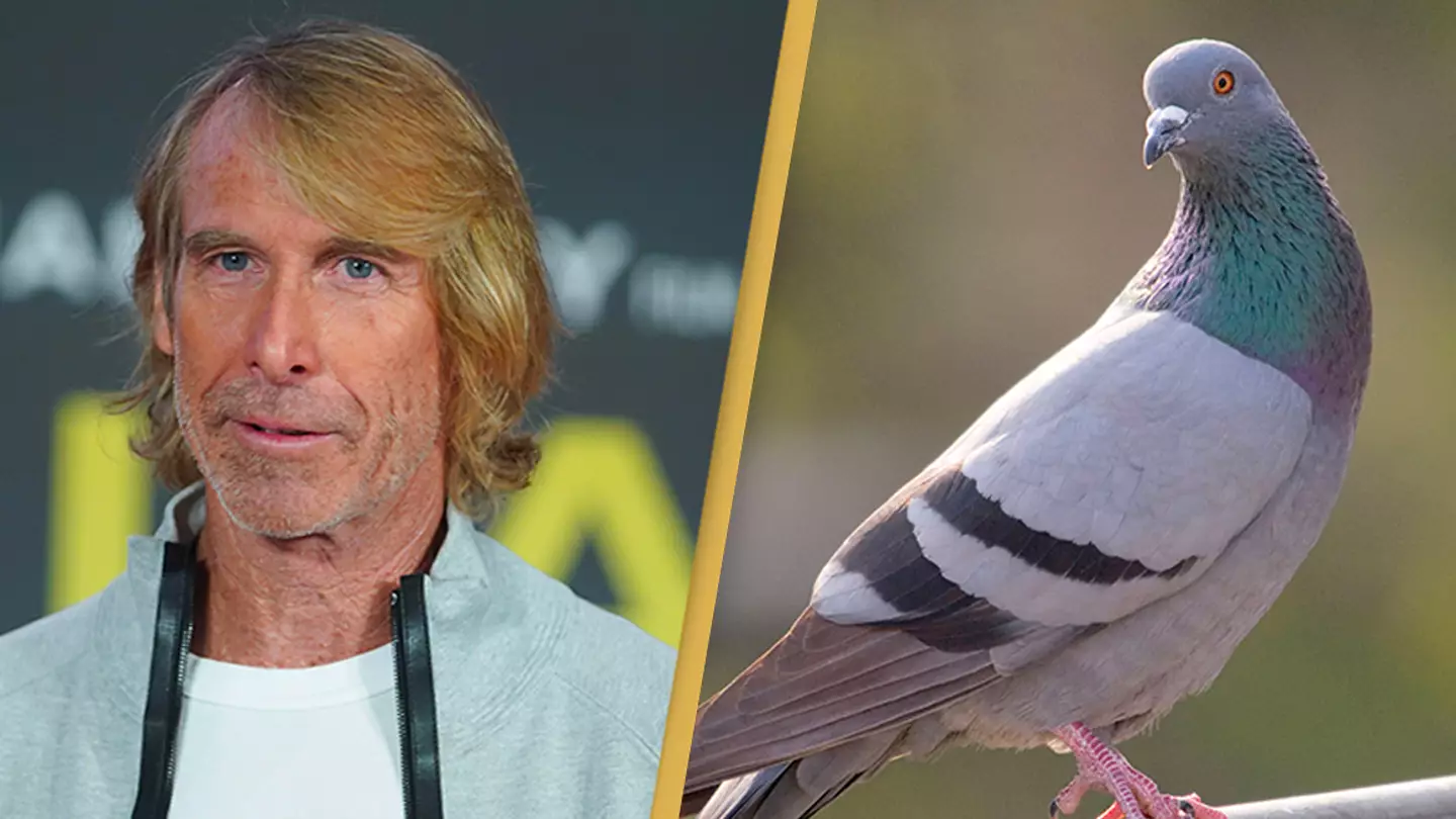 Filmmaker Michael Bay has been charged with killing a pigeon in Italy in 2018