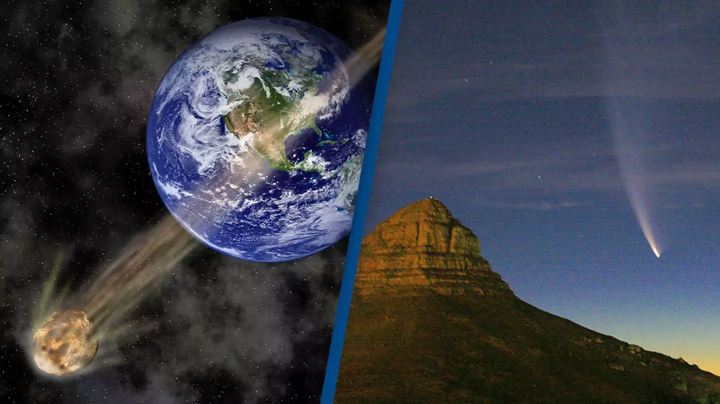 Dale O'Dell / Alamy. AfriPics.com / Alamy.