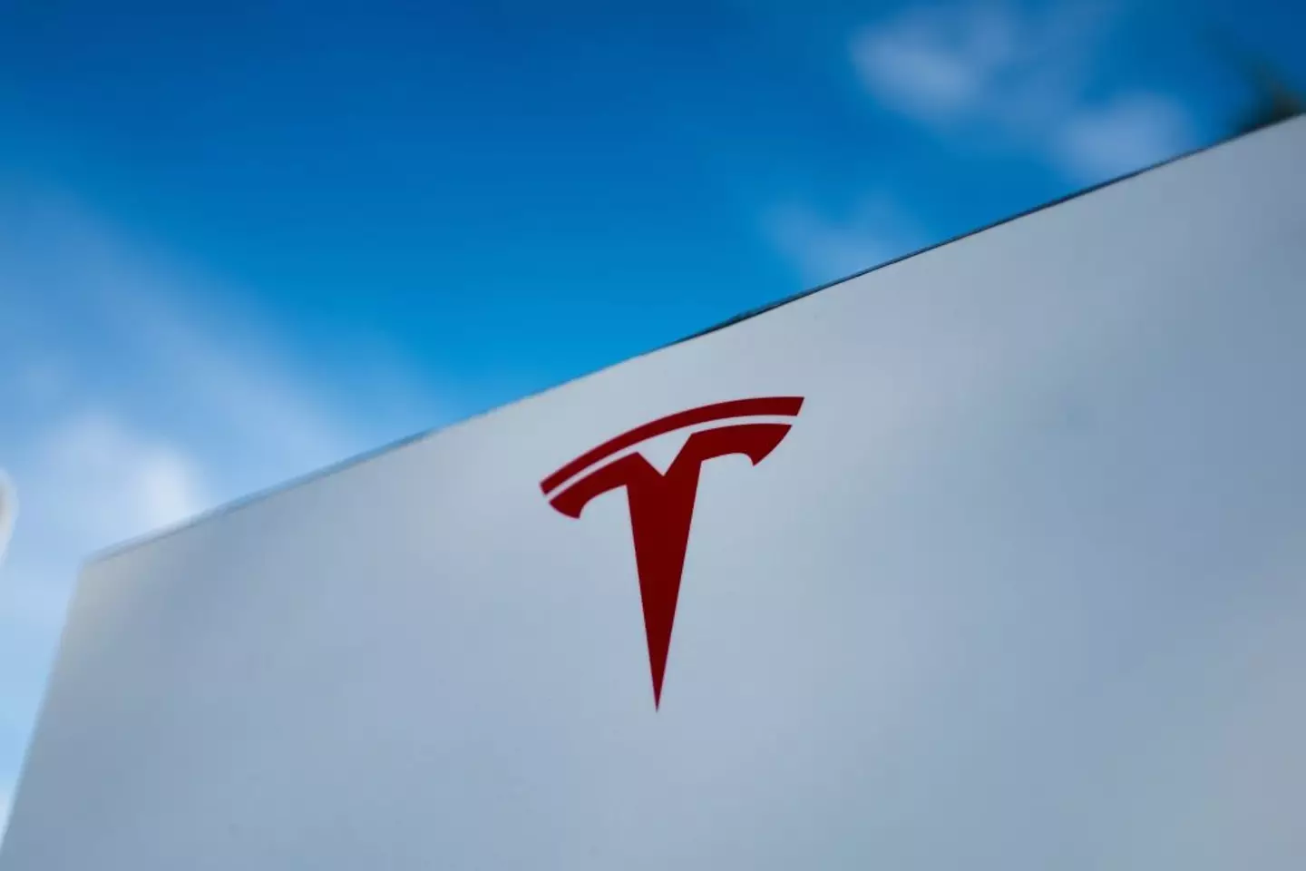The suit claims the Tesla vehicle was ‘defectively designed’ (Smith Collection/Gado/Getty Images)