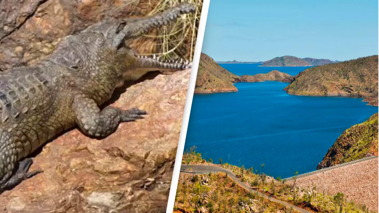 Crocodile Shot Dead After Attacking Swimming Woman