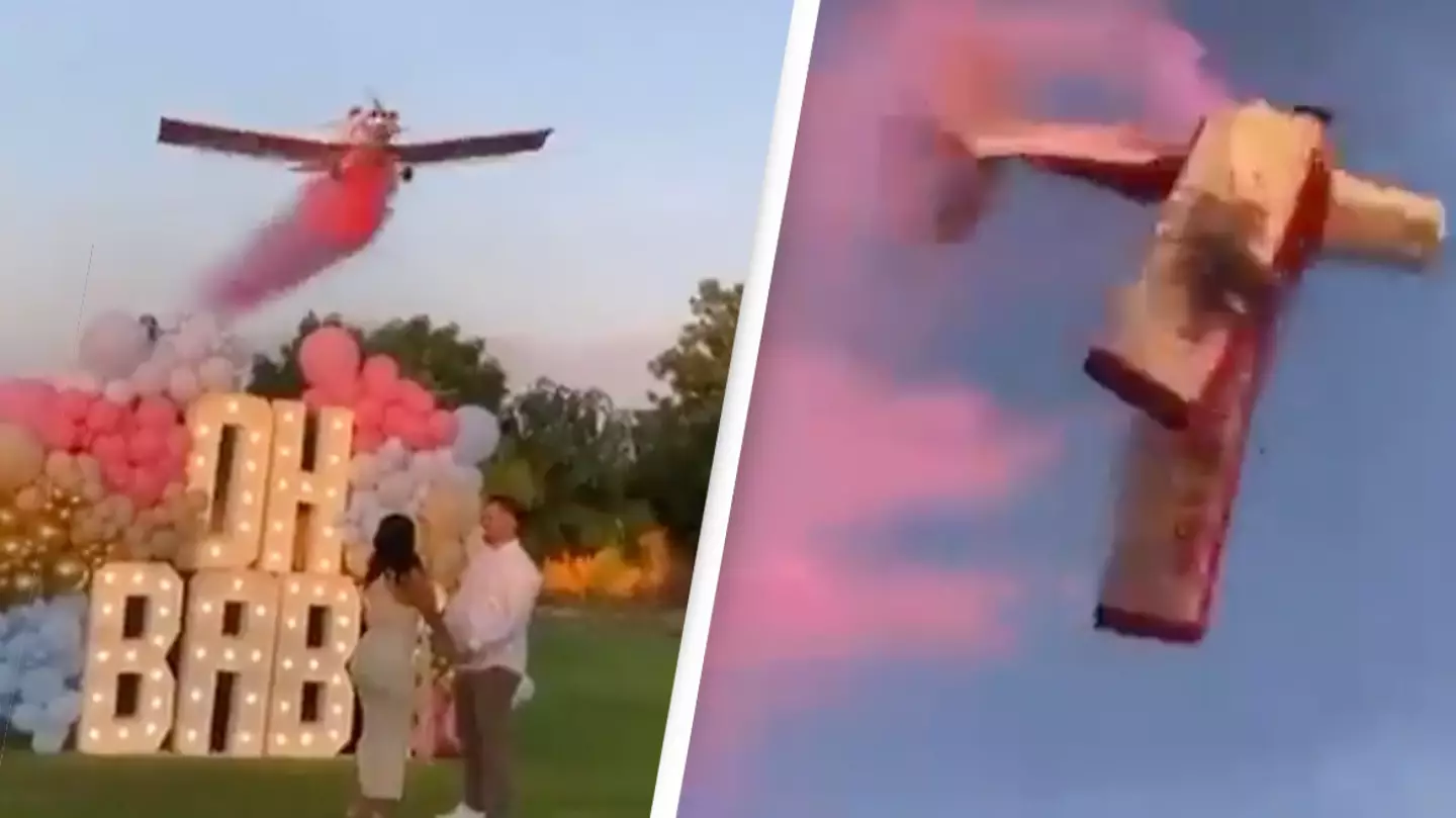 Pilot dies after gender reveal party stunt plane crashes in front of guests