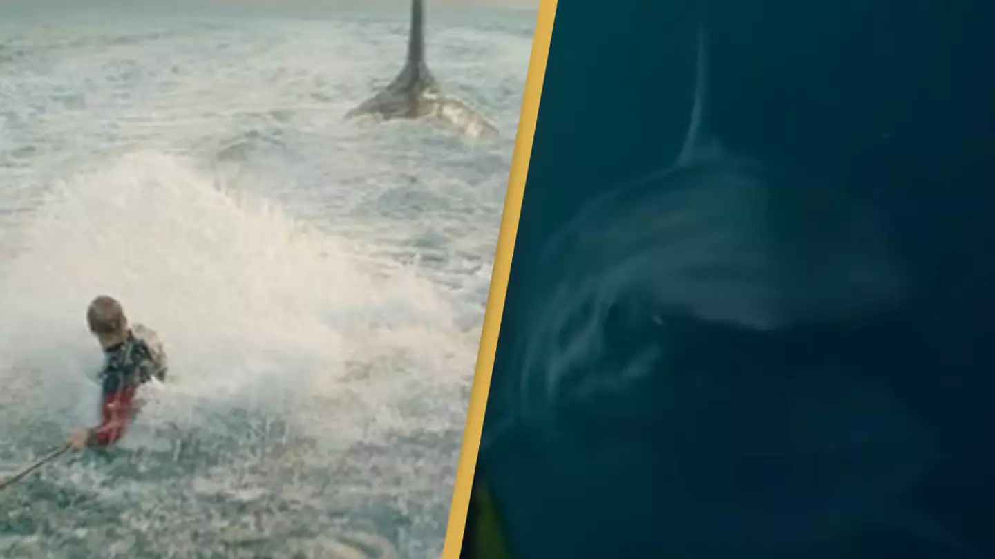 Netflix viewers have found what you should watch next after watching ‘terrifying’ new shark movie being called 10/10