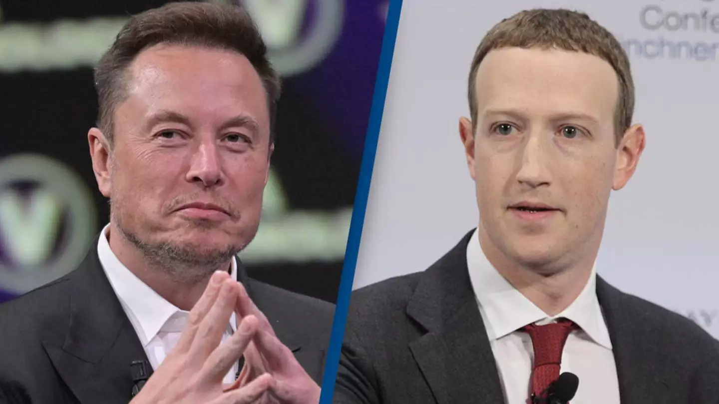 Inside the Elon Musk and Mark Zuckerberg fight that's evolved from a joke to actual plans being drawn