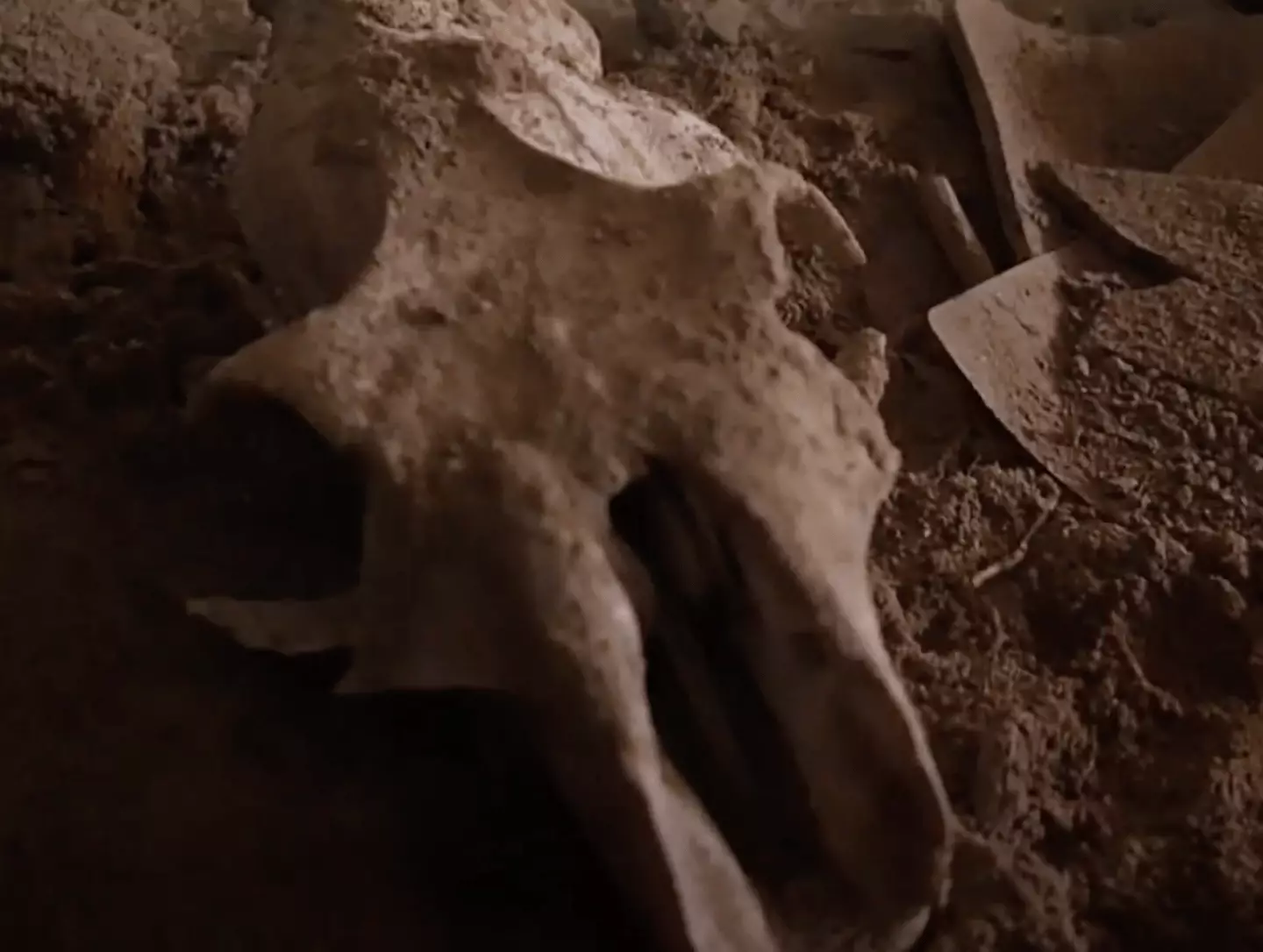 A skull was far from the only concerning sight. (YouTube/ Aquachigger)