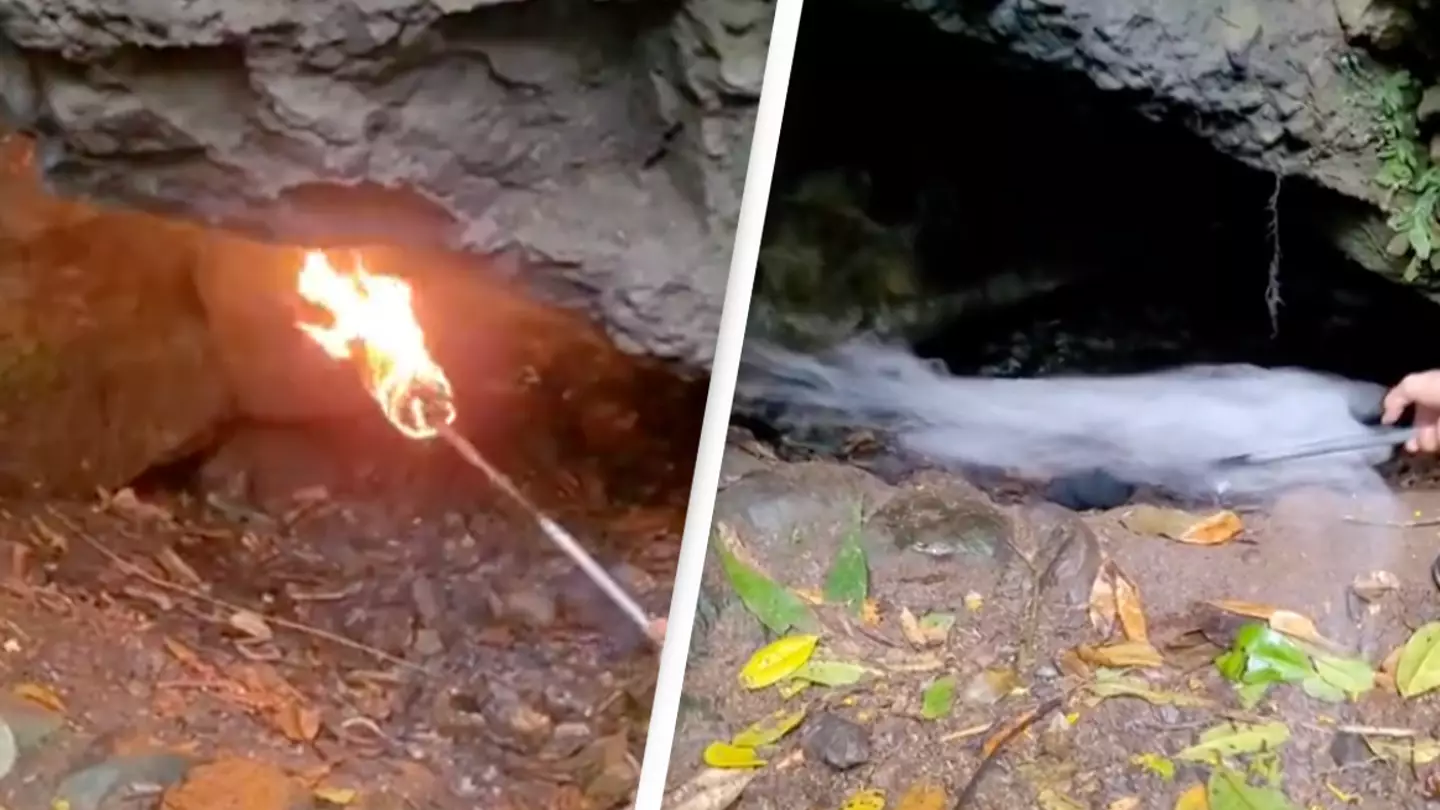 Shocking video shows 'Cave of Death' that people are forbidden from entering and kills anything inside