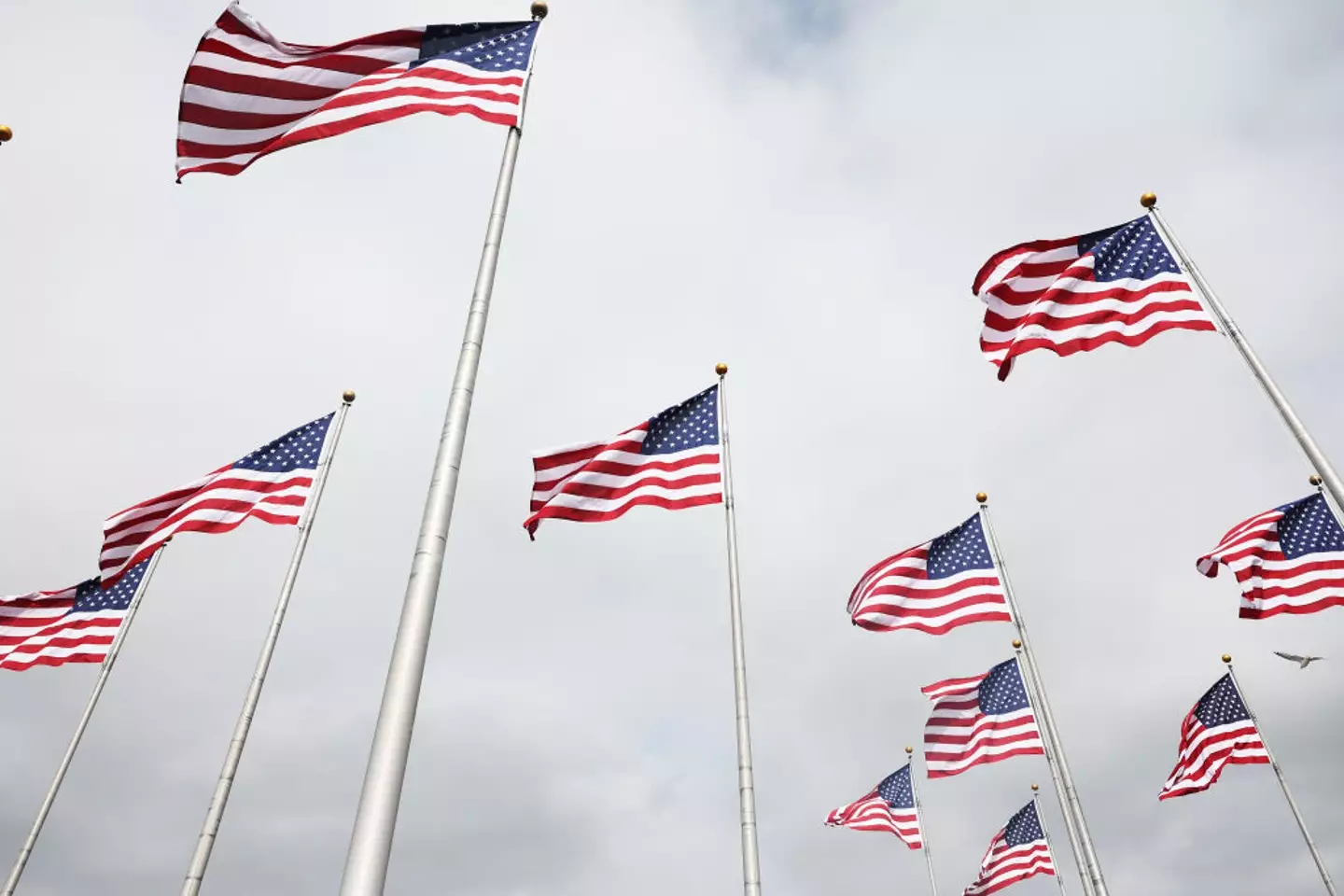 Flag Code restricts how the American flag can be displayed (Michael M. Santiago/Getty Images)