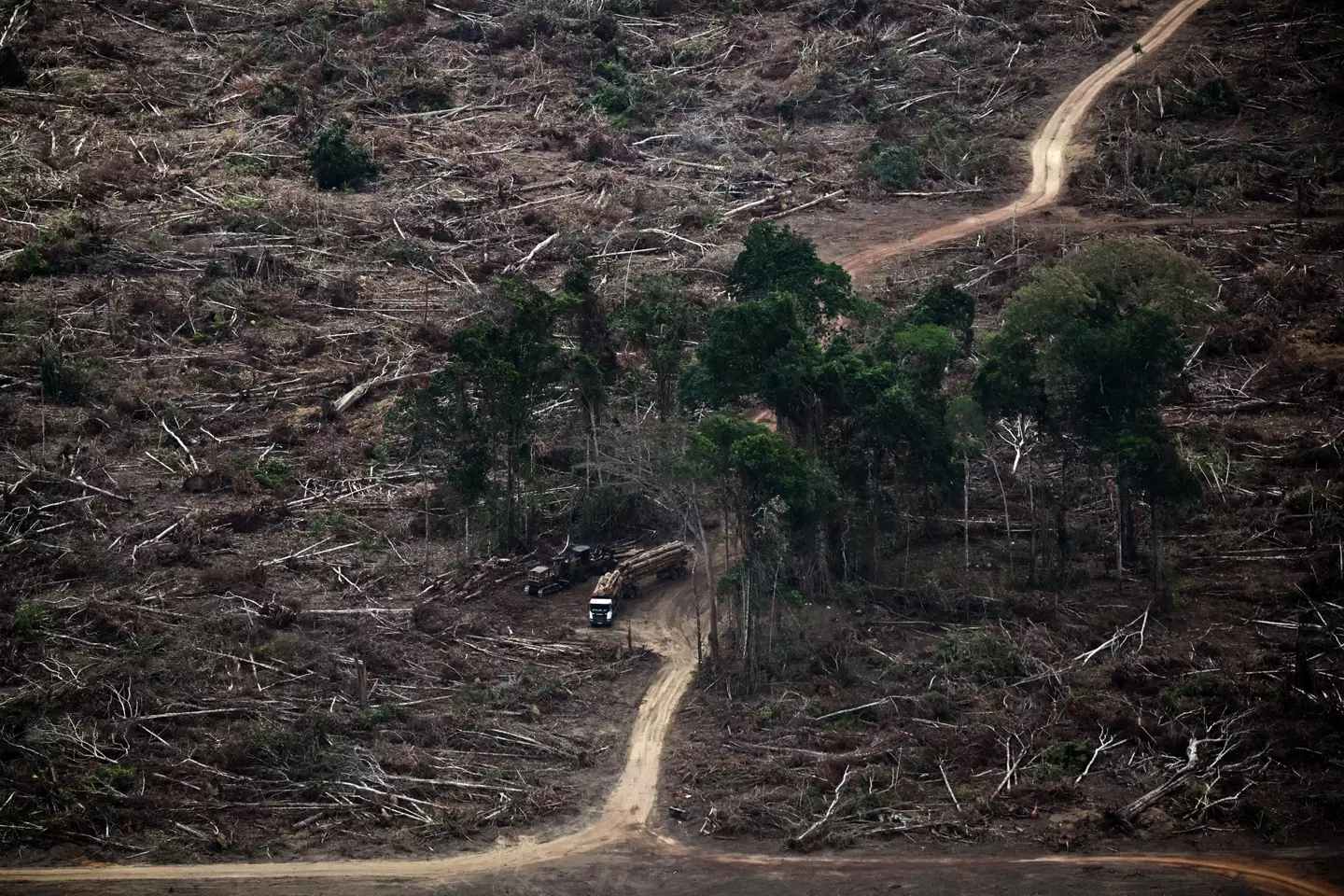 Logging, like this in Brazil, is a huge threat to uncontacted tribes (MAURO PIMENTEL/AFP via Getty Images)