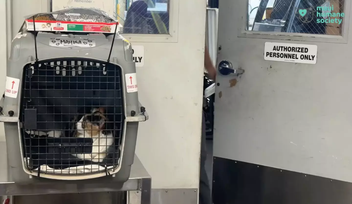 Mahina survived in the burn zone for 100 days.