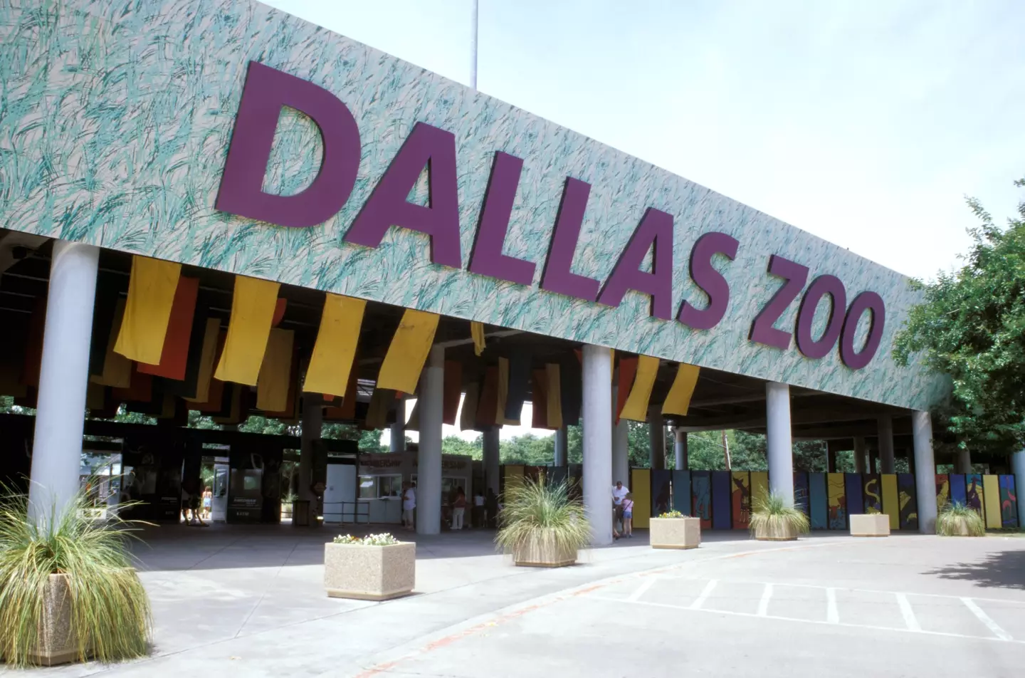 Dallas Zoo has had a string of unusual incidents in recent weeks.