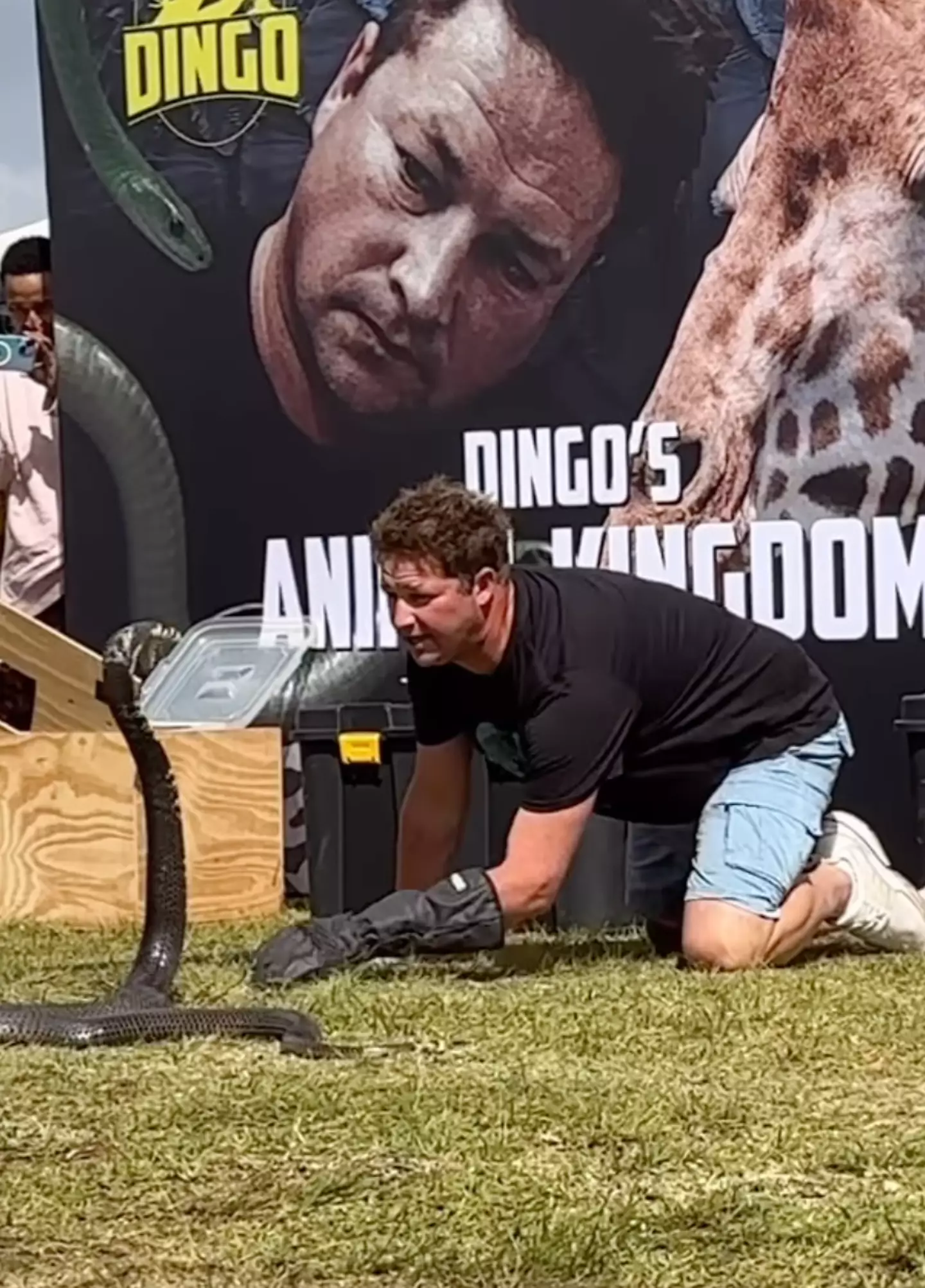 Graham 'Dingo' Dinkelman has died at the age of 44 following a fatal encounter with a green mamba (Instagram/dingo_dinkelman)