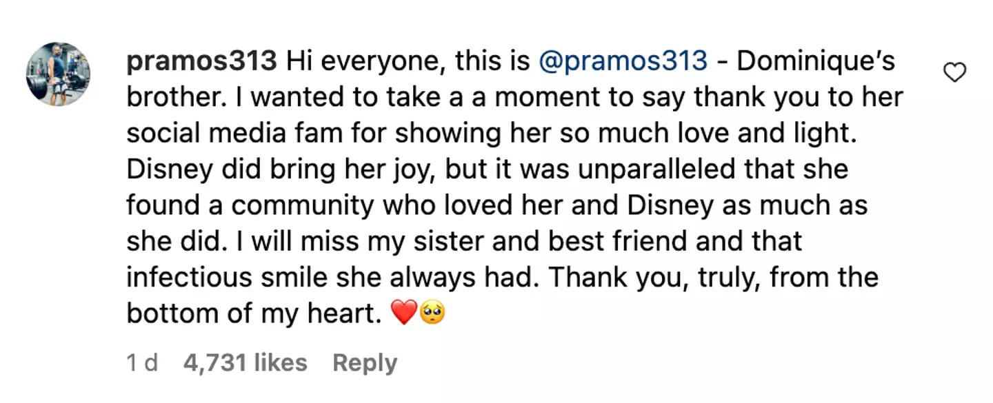 Someone claiming to be Dominique's brother commented on her final post (dominiquebrown/Instagram)