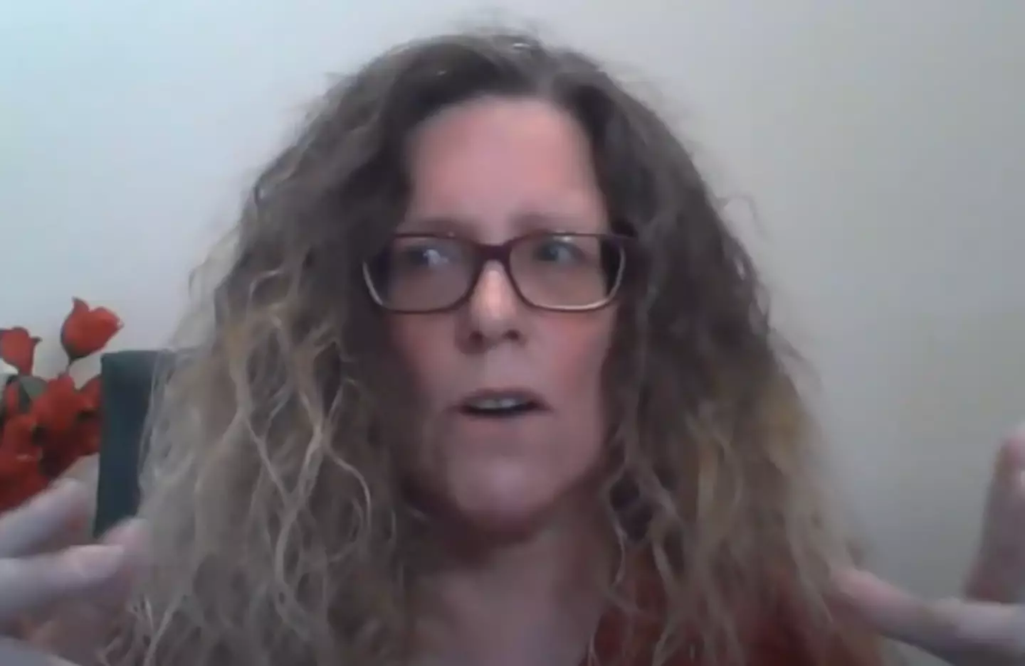Linda Kramer experienced the afterlife in 2001 (YouTube/NDE Diary)