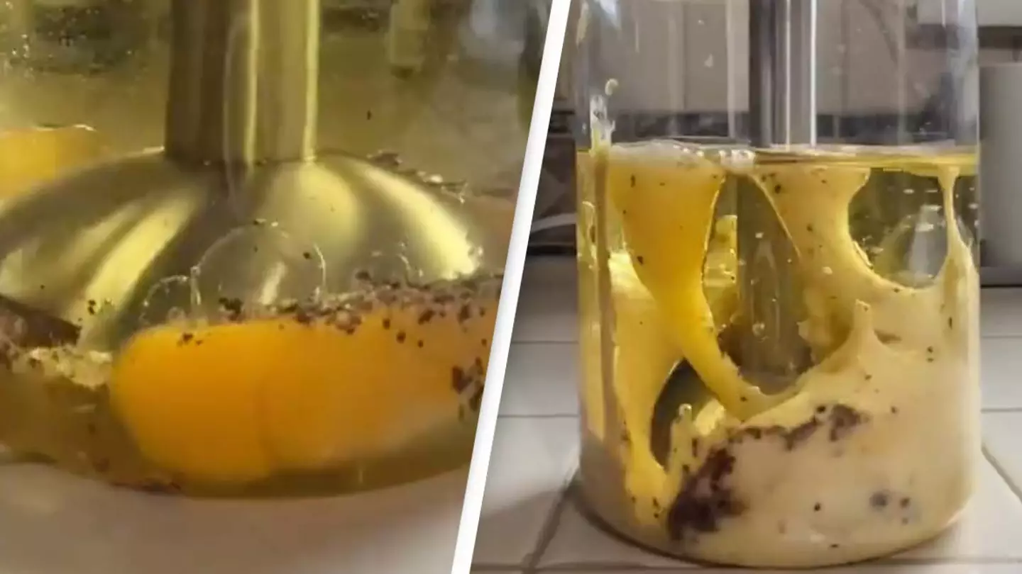 Video showing how mayonnaise is made is making people never want to eat it again