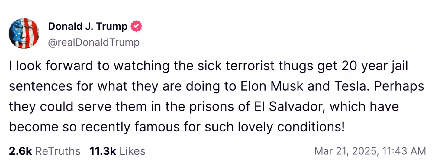 President Trump has branded those who attack Tesla dealerships are 'terrorist thugs' (@realDonaldTrump/Truth Social)