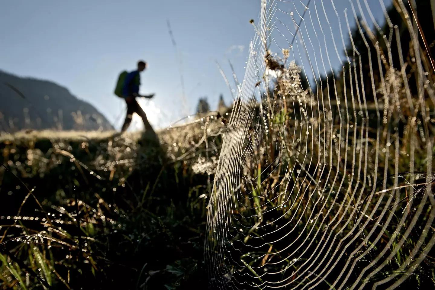 No one has ever completed the 22,000km journey.