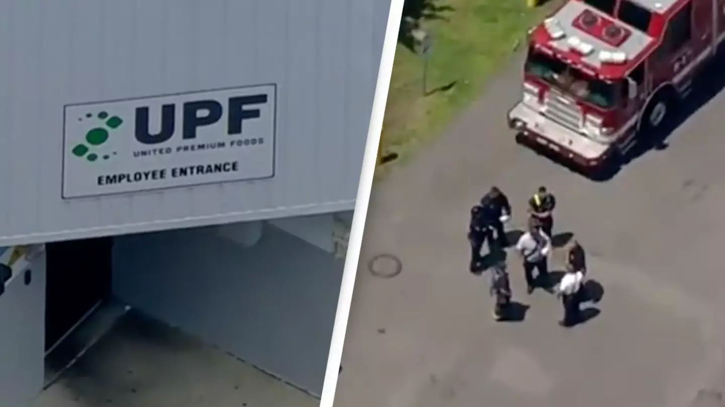Woman dies after falling into large meat processor at work