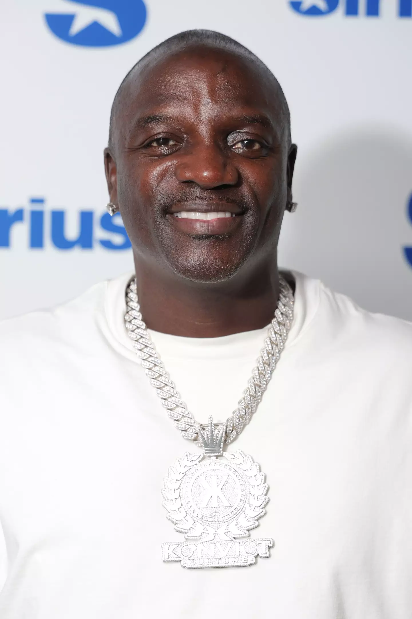 The reason Akon was arrested has been revealed (Michael Loccisano/Getty Images)