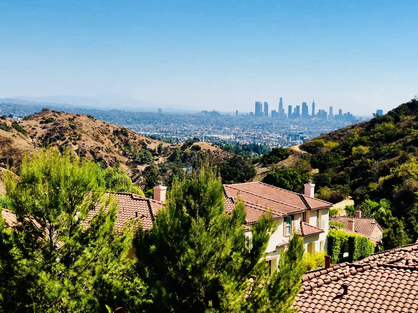 The ordeal took place at a property in the Hollywood Hills.