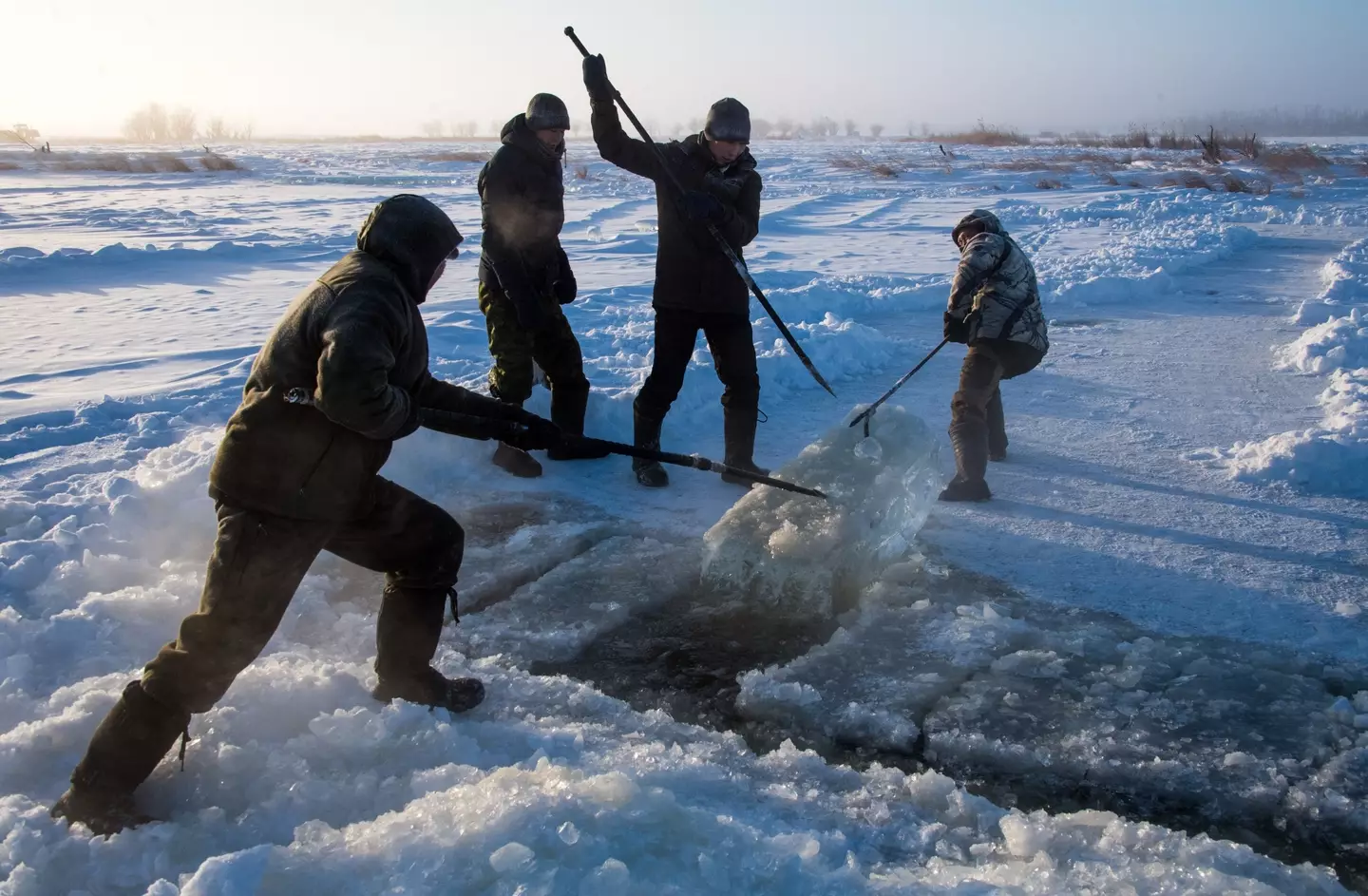 As climate change impacts the arctic, viruses that have been frozen for thousands of years could be released.