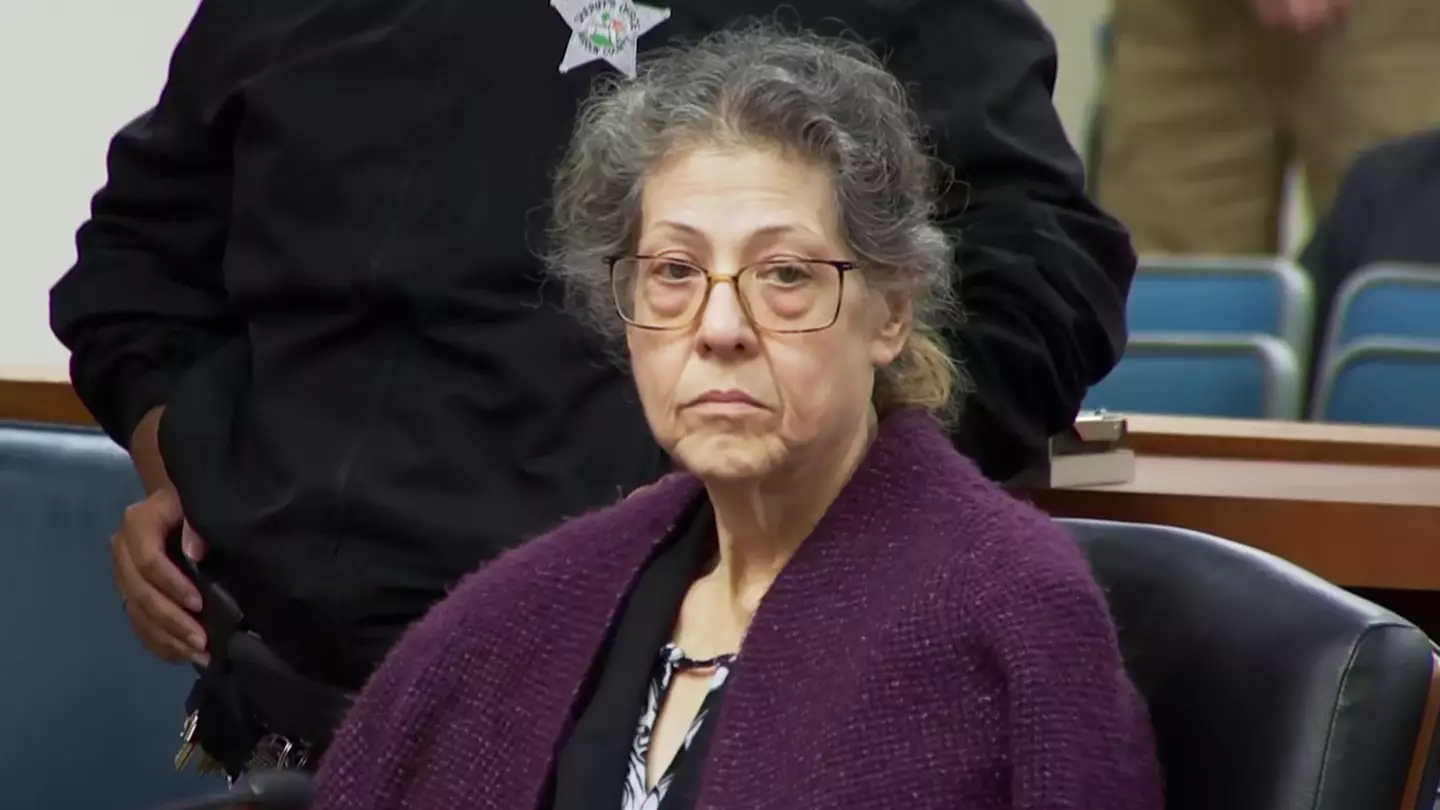 Controversial Stand Your Ground law explained as Netflix’s Perfect Neighbor explores shocking case