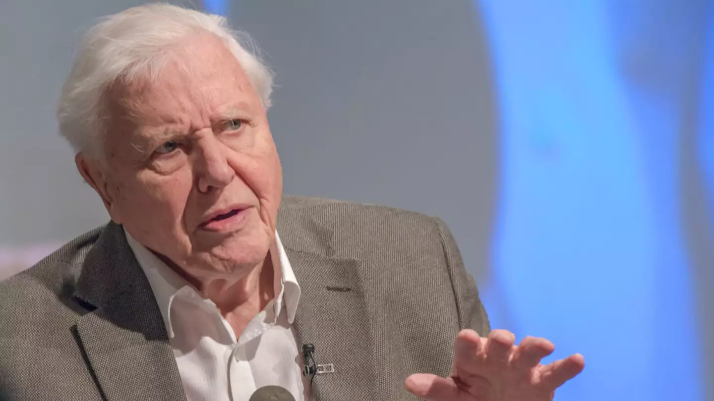 David Attenborough admits he's 'approaching the end of his life' in heartbreaking statement