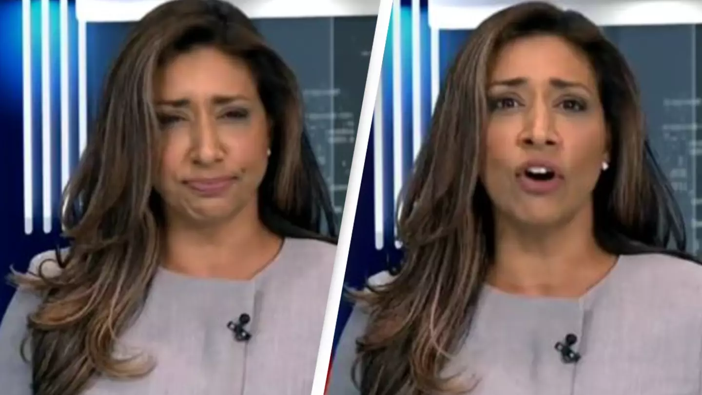 News anchor praised for keeping cool after swallowing fly on live broadcast