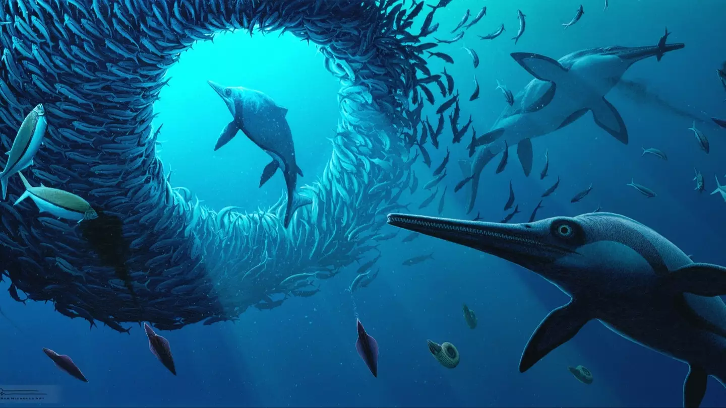 Rare new species of Jurassic-era 'sword dragon' marine reptile discovered could solve an evolutionary mystery
