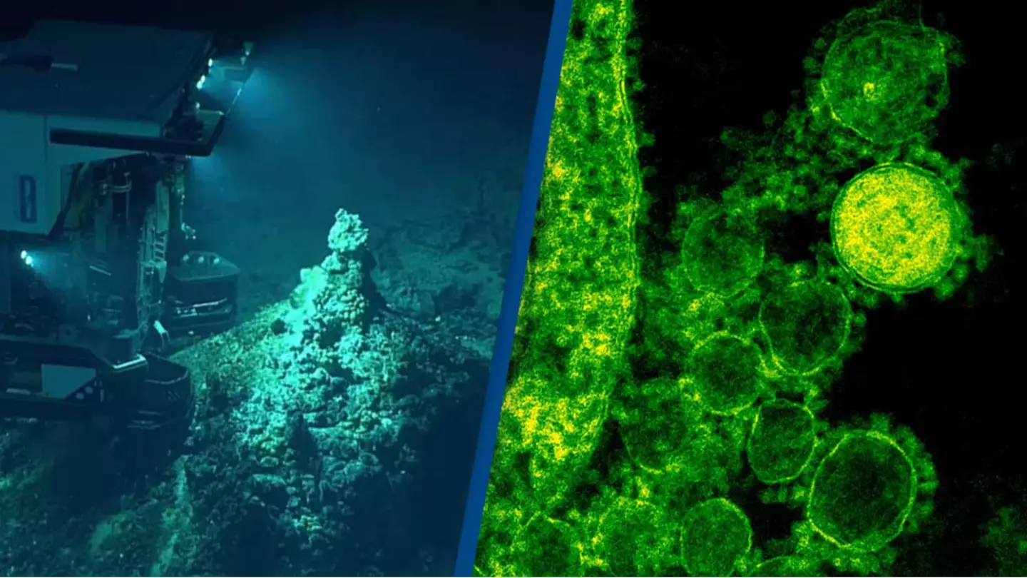 Les scientifiques collectent un tout nouveau type de virus à 29 000 pieds sous l'océan