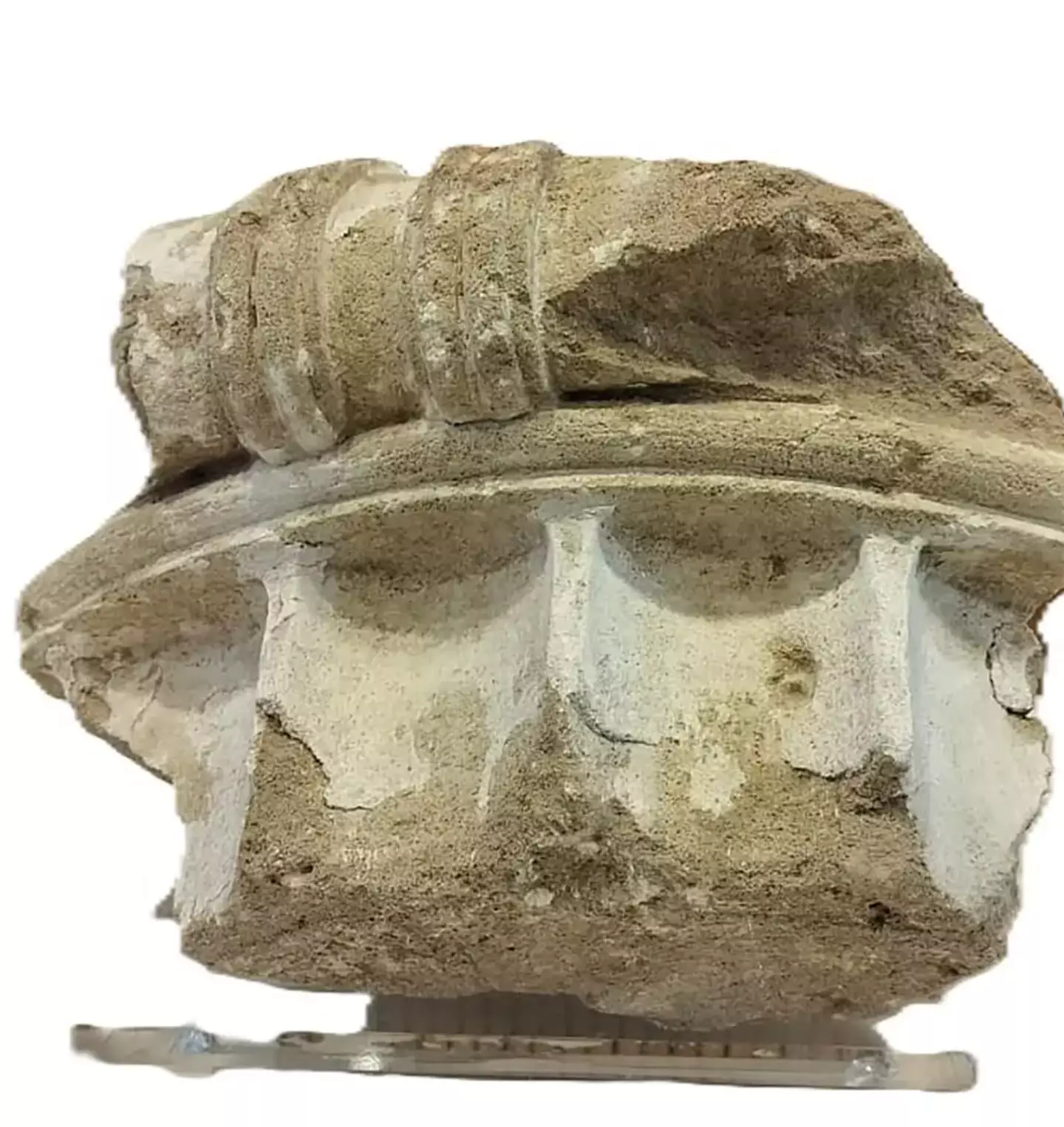 The artefact has finally been returned (Greek Culture Ministry)