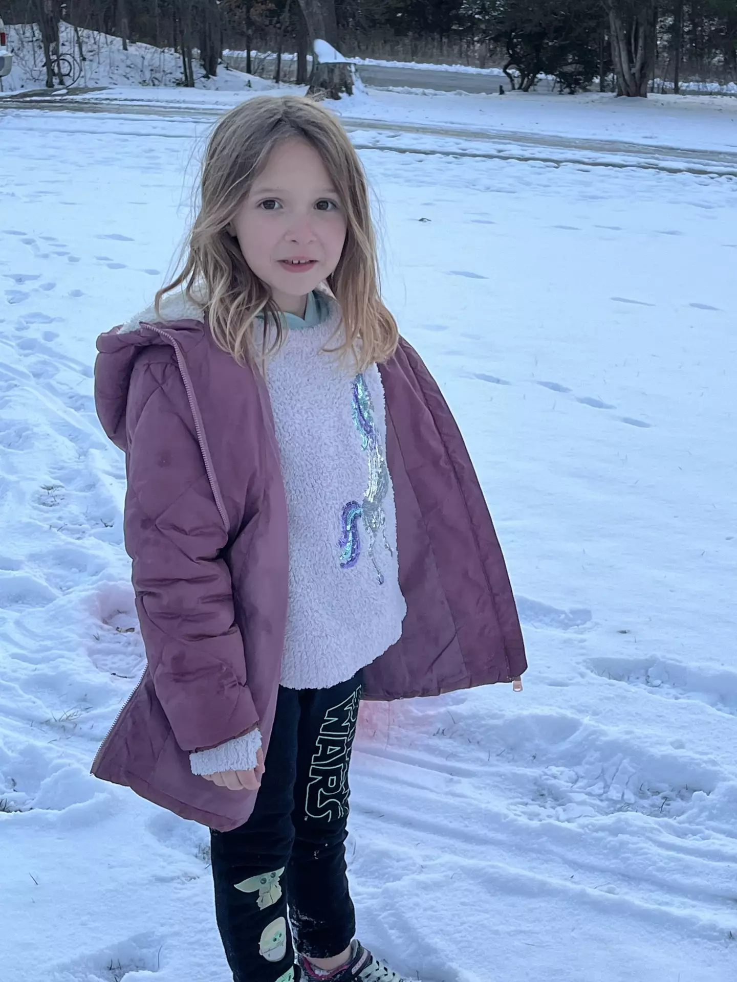 Seven-year-old Scarlett allegedly tried out a tutorial (Kennedy News and Media)