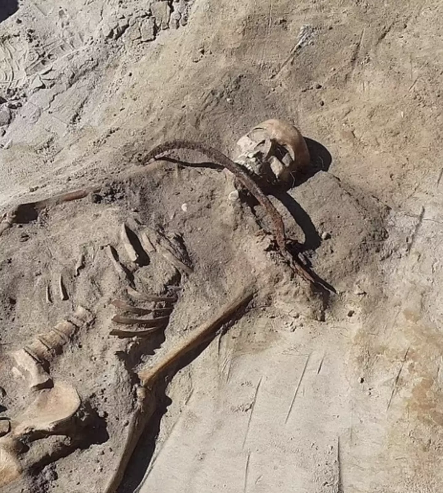 The 'vampire' skeleton had a sickle over the throat.