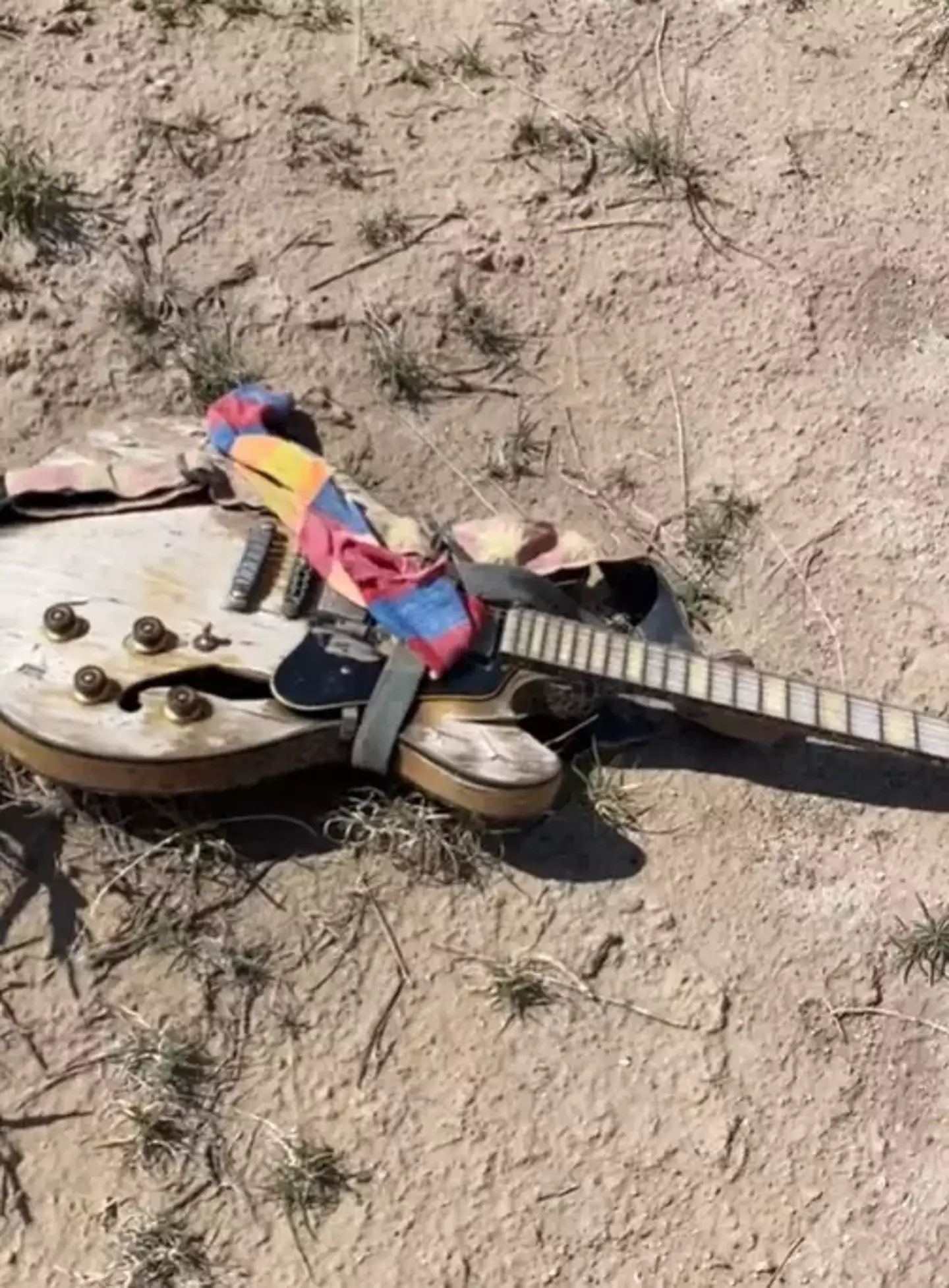 The man said it was the 'strangest thing' he 'ever found'.