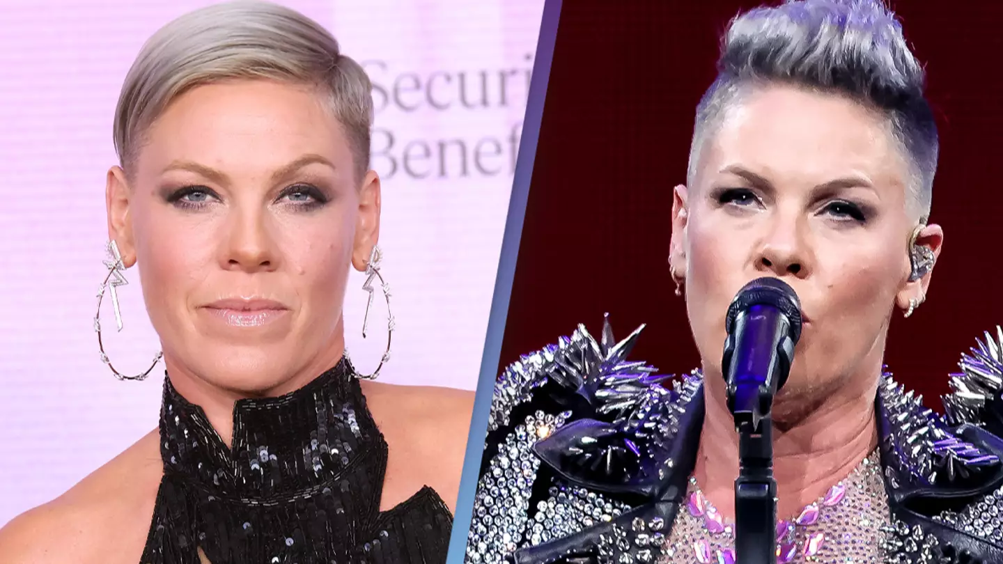 P!nk has perfect response to online troll who told her she 'got old'