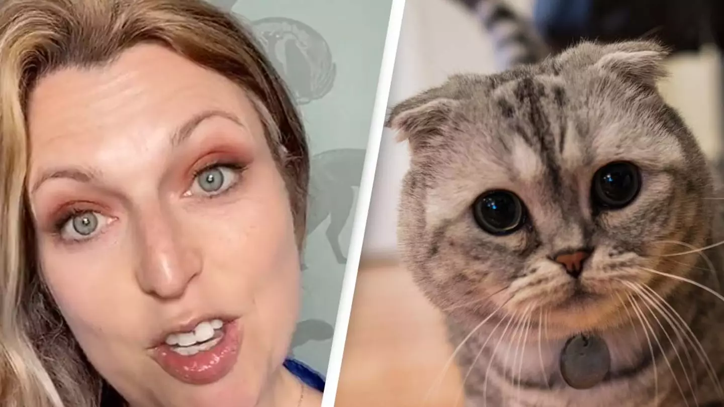 Vet Reveals How Certain Animals People Think Are ‘Cute’ Are Not