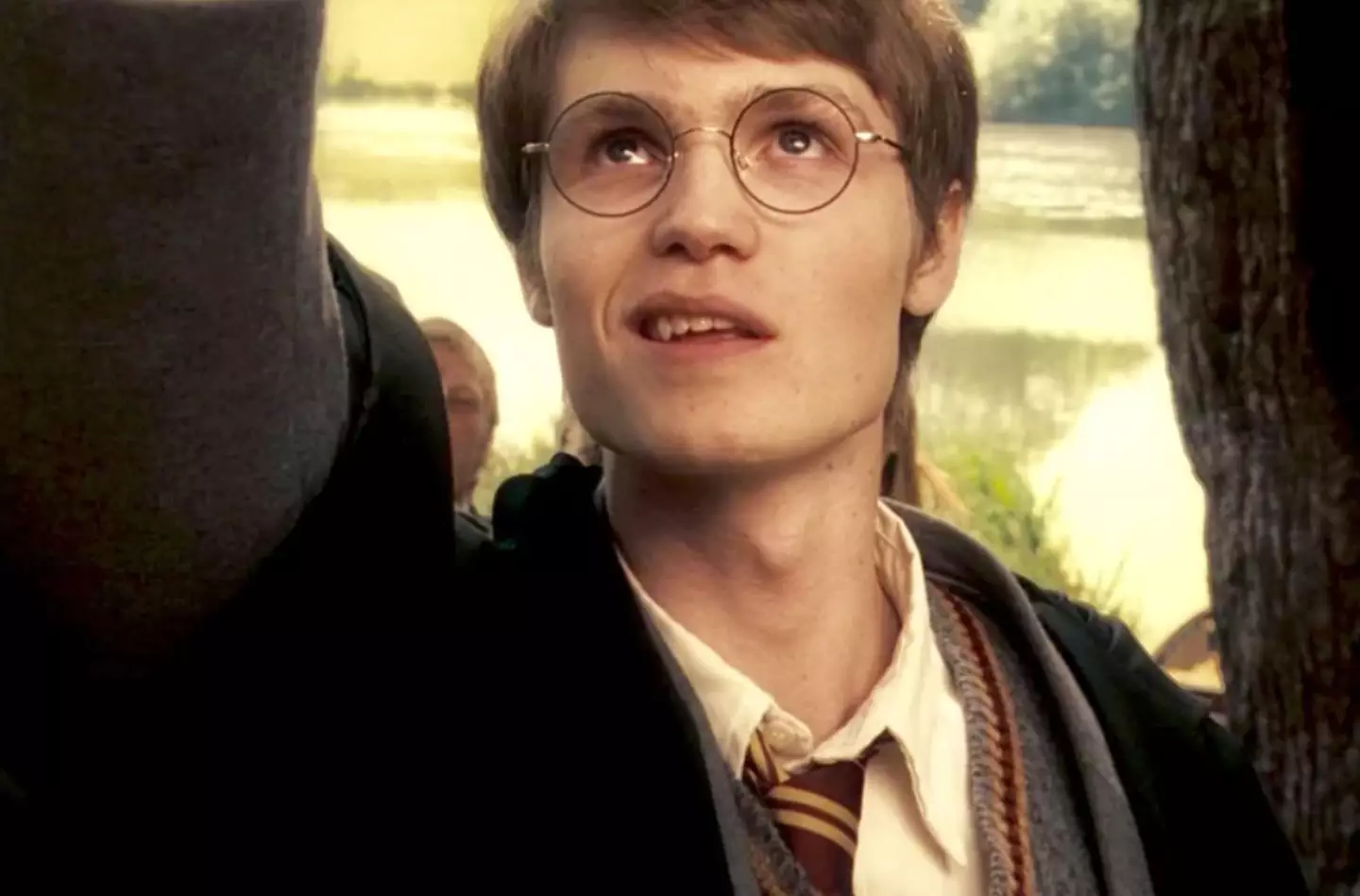 Jarvis played a younger James Potter in Order of the Phoenix (Warner Bros)