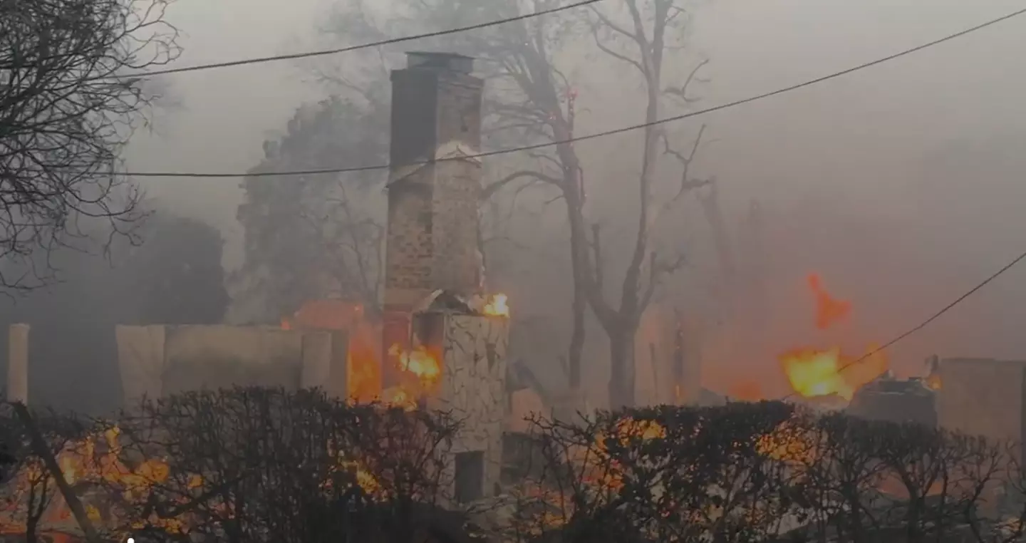 Collin lost everything to the Eaton Fire (Collin Davis)