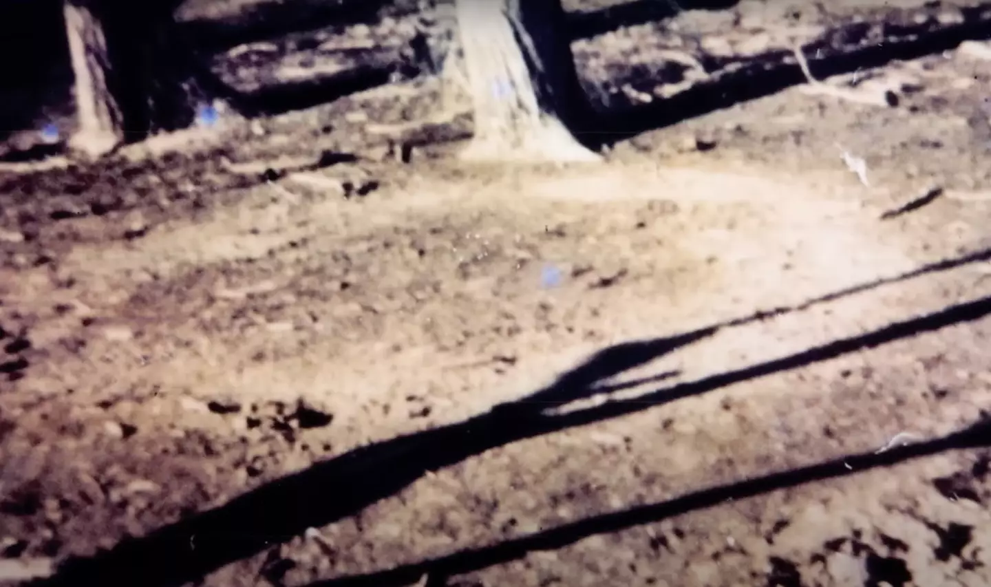 A photograph taken of the UFO scorch marks.