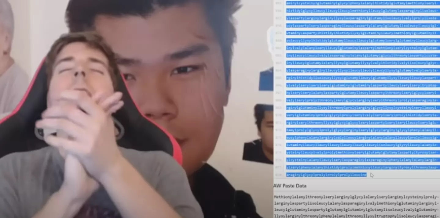 It took the YouTuber almost two hours to complete (YouTube/MrBeast)