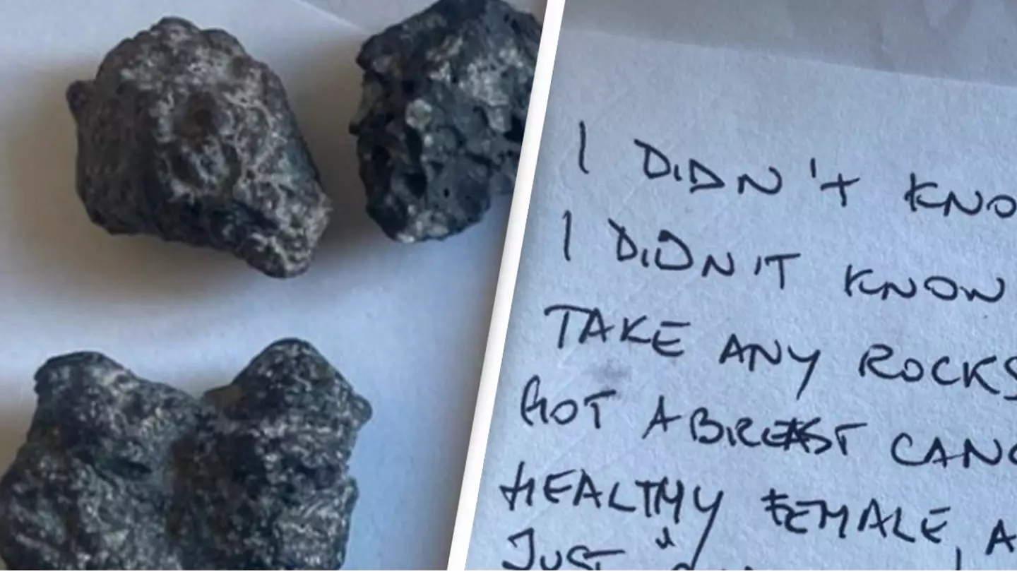 Tourist returns ‘cursed’ stones to Pompeii after a year of ‘bad luck’