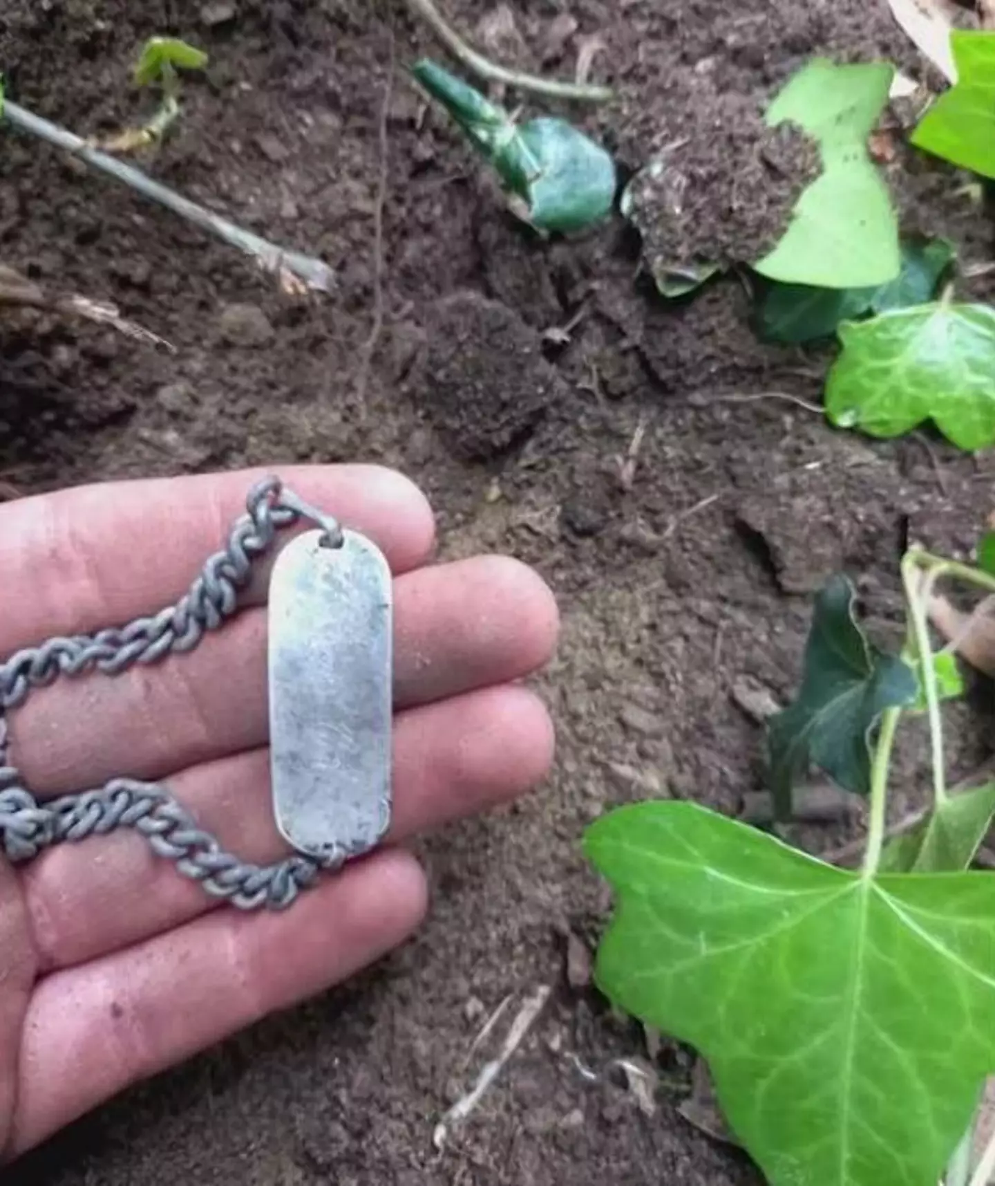 The bracelet was found buried in a forest near Pisa, Italy.