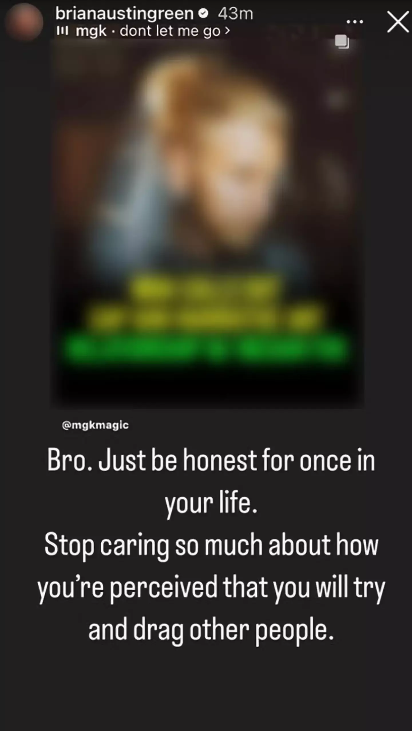 He hit back in a since-expired Instagram story (brianaustingreen/Instagram)