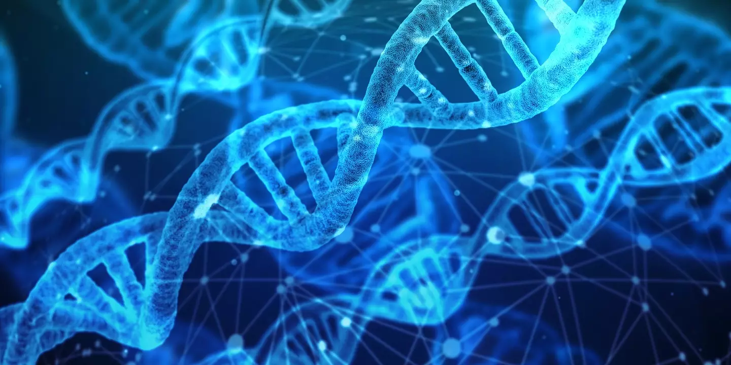 Researchers found 155 new genes which arose from fragments of DNA.