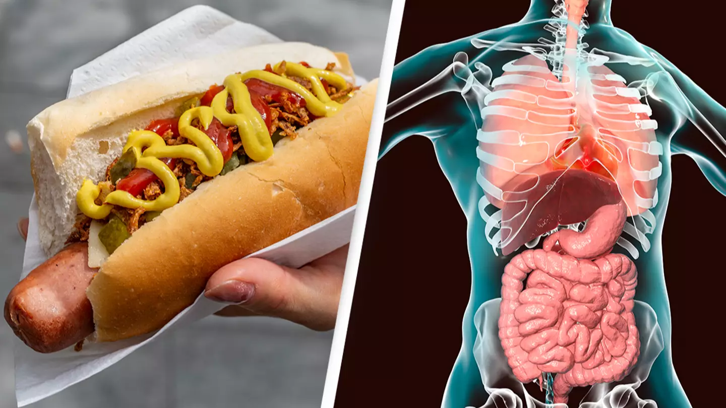 Scientists claim eating a hot dog could shorten your life by more than half an hour