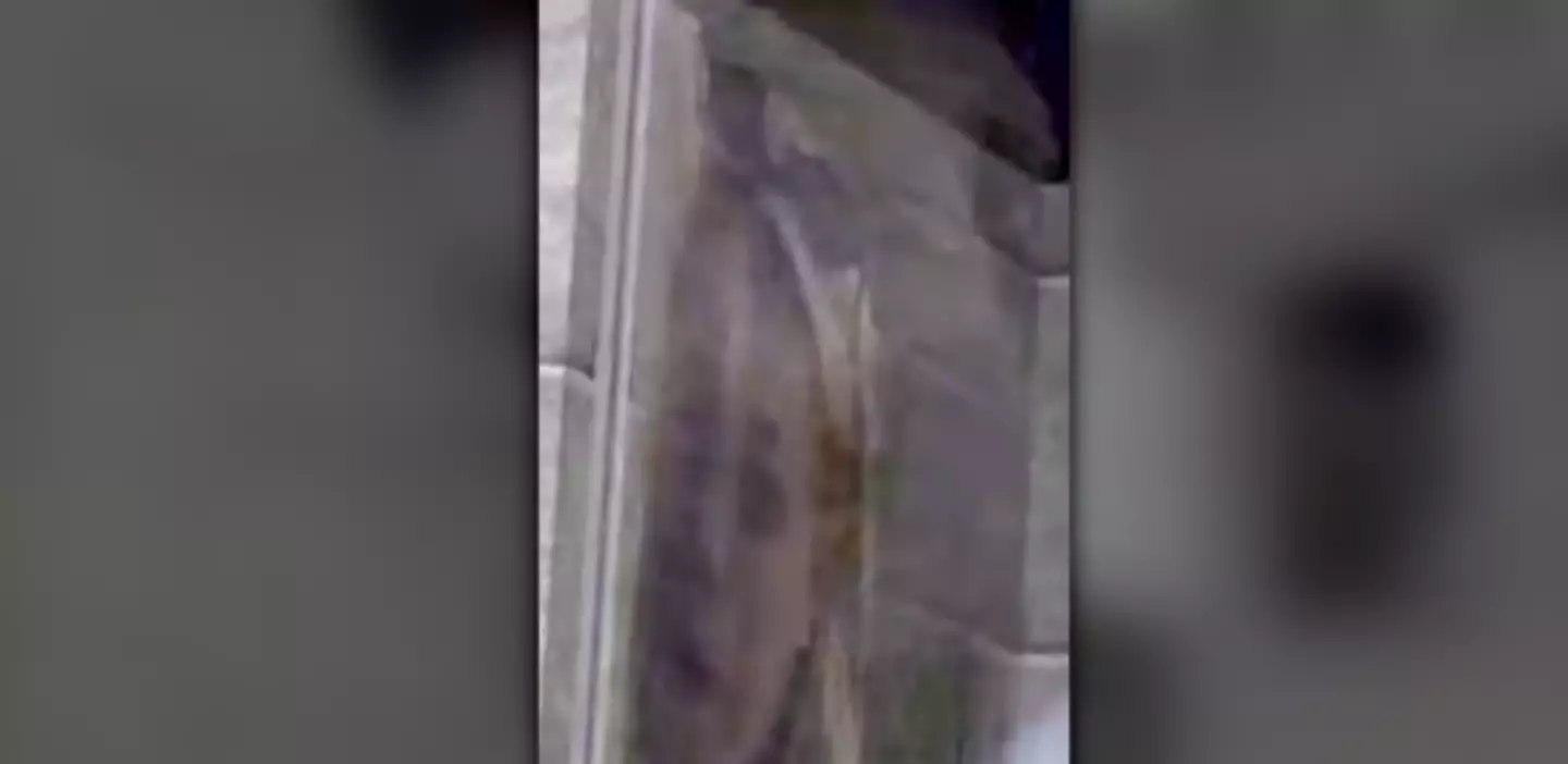 The photograph in the woman can be seen in the ticket box at Duloc (YouTube/Leo Film Facts)
